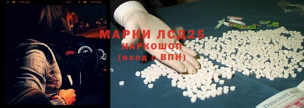 спиды Богородицк