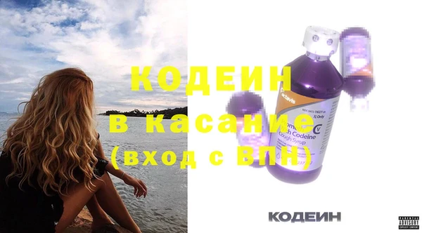 спиды Богородицк