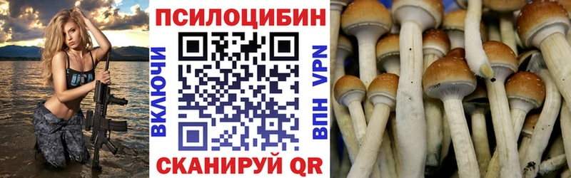 Галлюциногенные грибы MAGIC MUSHROOMS Видное